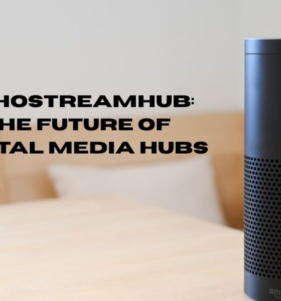 Echostreamhub