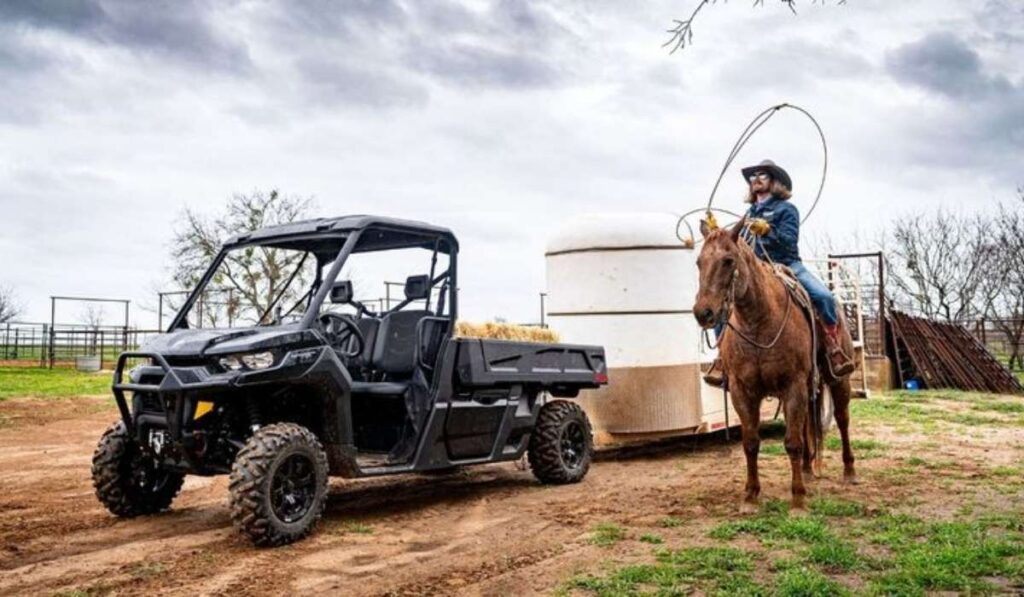 Dale Brisby Net Worth