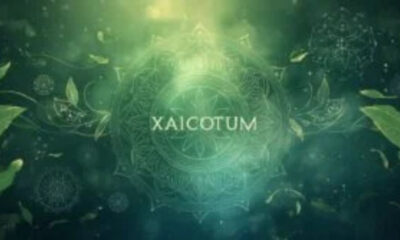 Xaicotum