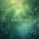 Xaicotum