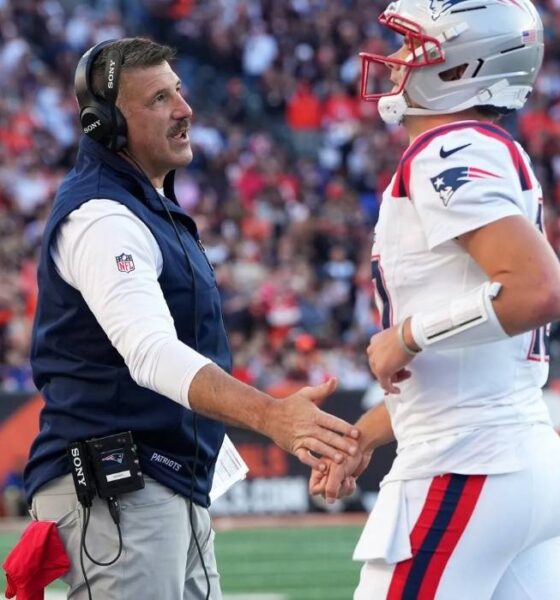 Bengals vs New England